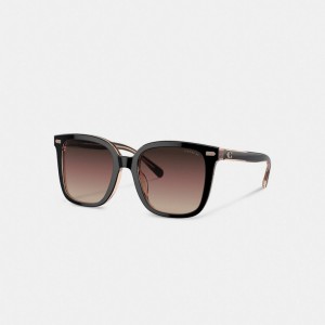 Black / Pink Women Coach Beveled Signature Oversized Square Sunglasses | NZ_CH41957