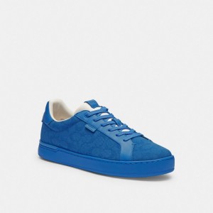 Blue Men Coach Lowline Low Top In Signature Canvasberry Sneakers | NZ_CH81473