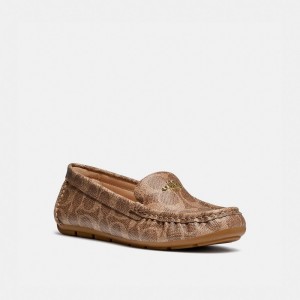 Brown Women Coach Marley Driver Loafers | NZ_CH99514