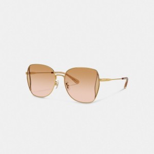 Coral Pink Women Coach Oversized Butterfly Peach Blush Sunglasses | NZ_CH66024