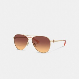 Dark Brown Women Coach Metal Aviator Sunglasses | NZ_CH20543