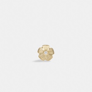 Gold Women Coach 14 K Tea Single Stud Earrings | NZ_CH69538