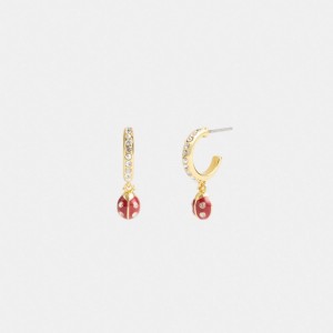 Gold Women Coach Garden Ladybug Drop Earrings | NZ_CH68932