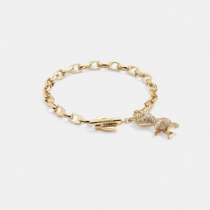 Gold Women Coach Pavé Rexy Signature Chain Bracelets | NZ_CH53451