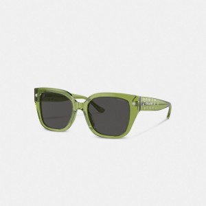 Green Women Coach Charms Oversized Square Sunglasses | NZ_CH66068