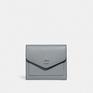 Grey Blue Women Coach Wyn Leather Small Wallets | NZ_CH73163