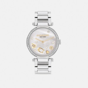 Grey Women Coach Cary 34 Mm Stainless Steel Watches | NZ_CH37635