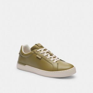 Olive Men Coach Lowline Low Top Moss Sneakers | NZ_CH15133