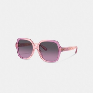 Pink Purple Women Coach Signature Ombré Oversized Square Sunglasses | NZ_CH85075