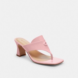 Pink Women Coach Bree Soft Sandals | NZ_CH32586