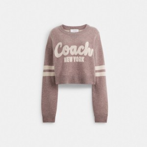 Pink Women Coach Cropped Sweaters | NZ_CH62499