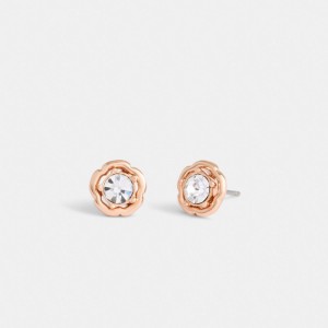 Rose Gold Women Coach Halo Tea Stud Earrings | NZ_CH63571