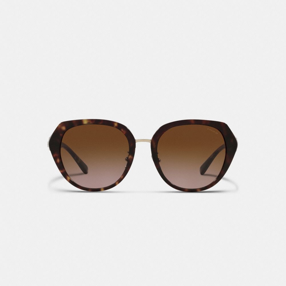 Black Women Coach Horse And Carriage Oversized Round Sunglasses | NZ_CH76538