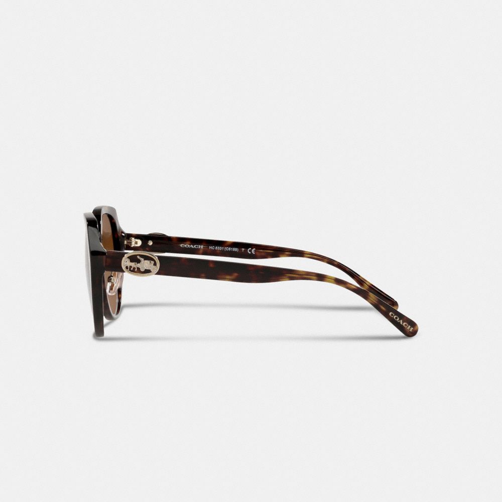 Black Women Coach Horse And Carriage Oversized Round Sunglasses | NZ_CH76538