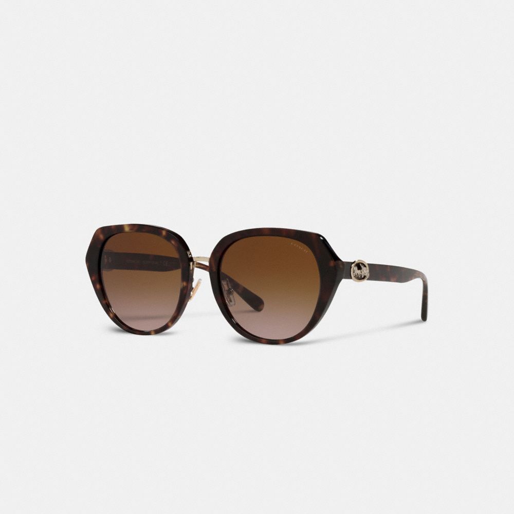 Black Women Coach Horse And Carriage Oversized Round Sunglasses | NZ_CH76538