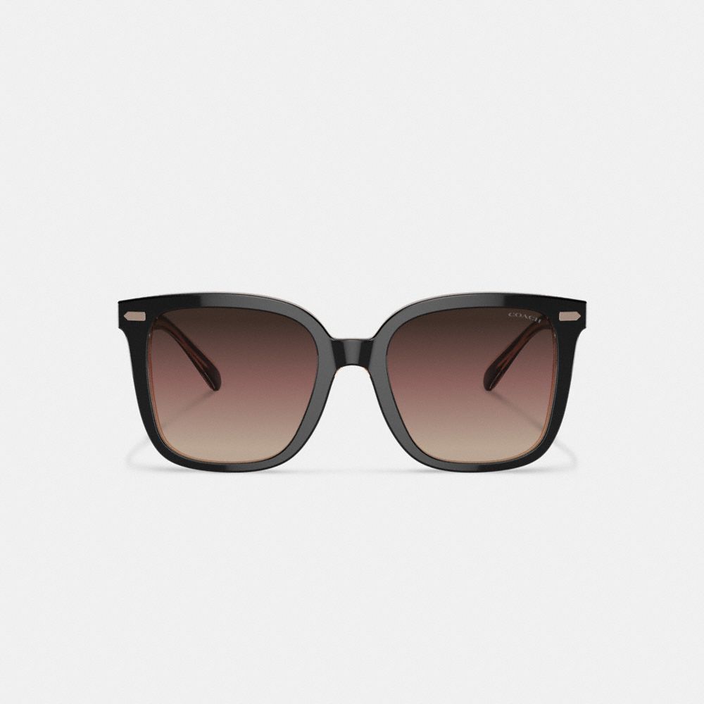 Black / Pink Women Coach Beveled Signature Oversized Square Sunglasses | NZ_CH41957