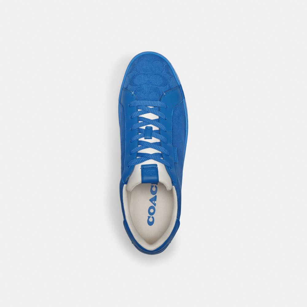 Blue Men Coach Lowline Low Top In Signature Canvasberry Sneakers | NZ_CH81473