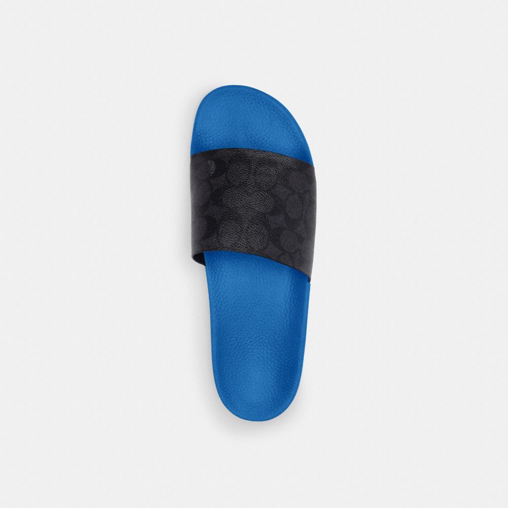 Blue Men Coach Slideberry Sandals | NZ_CH65994