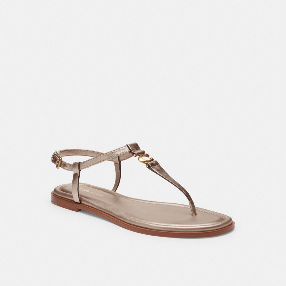 Brown Women Coach Jessica Champagne Sandals | NZ_CH53983