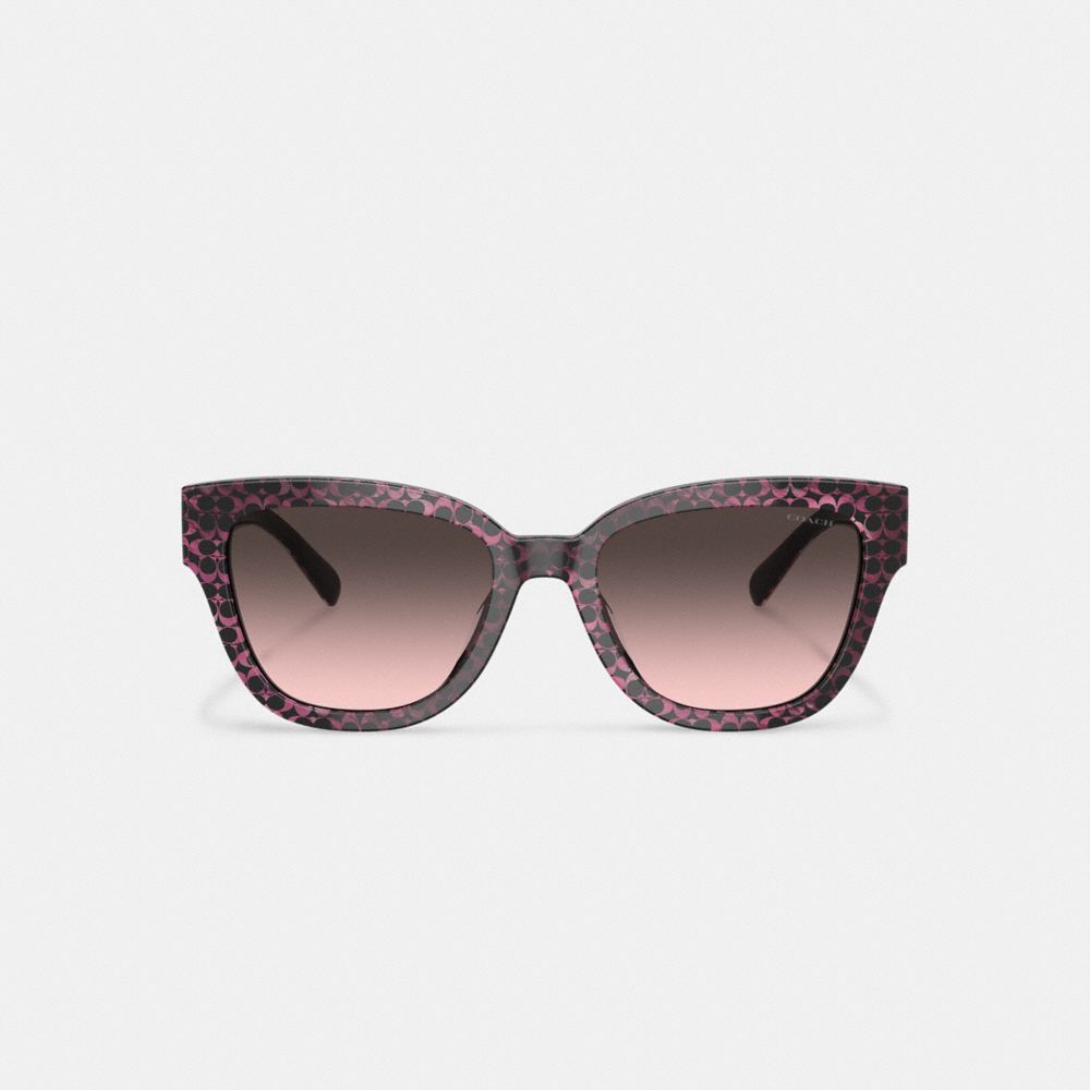 Brown Women Coach Signature Round Ruby Pearlized Signature Sunglasses | NZ_CH61159