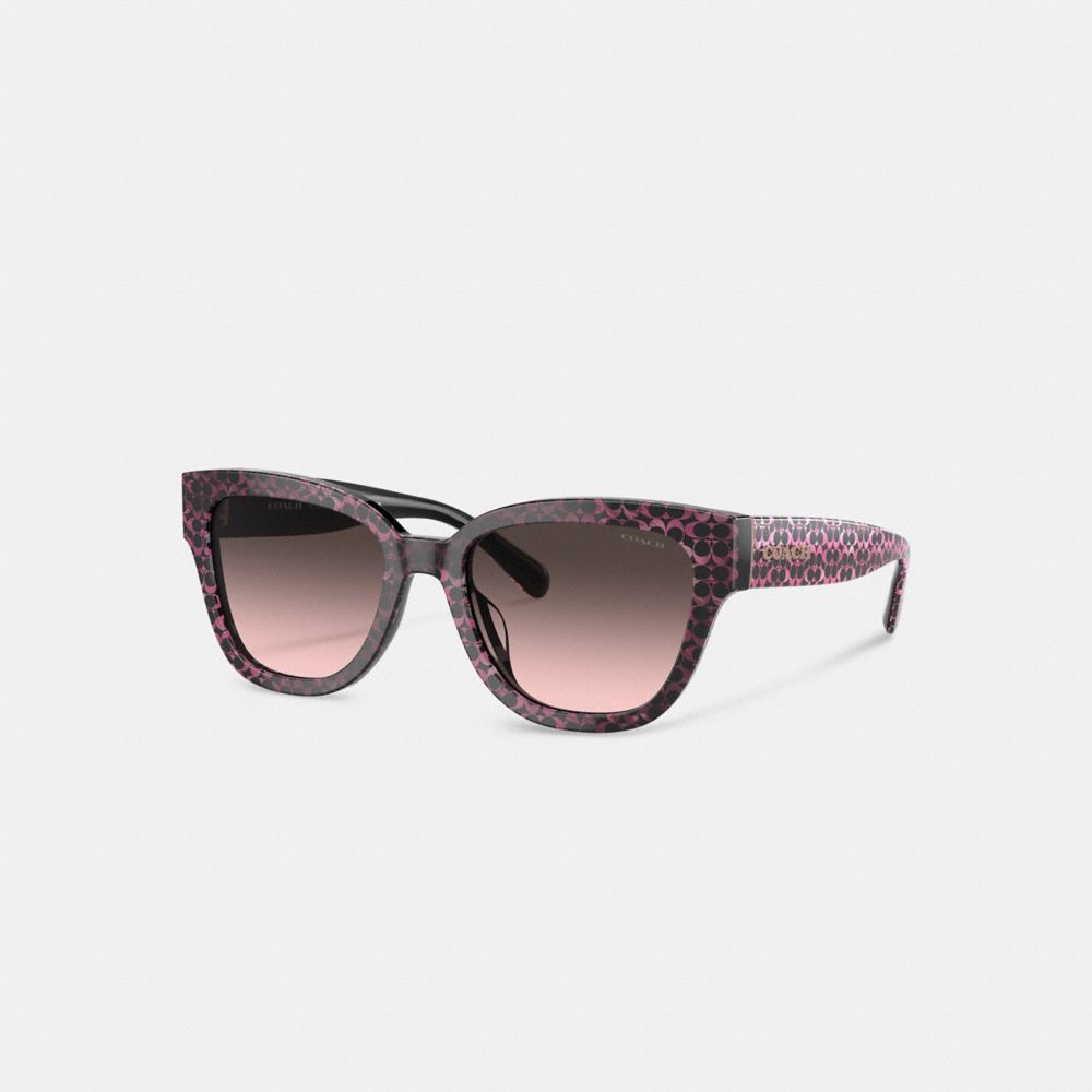 Brown Women Coach Signature Round Ruby Pearlized Signature Sunglasses | NZ_CH61159