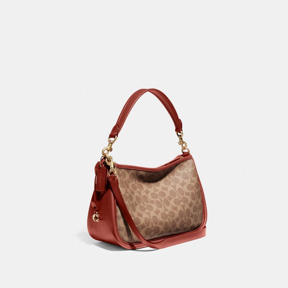 Brown / Red Women Coach Cary In Signature Crossbody Bags | NZ_CH56698