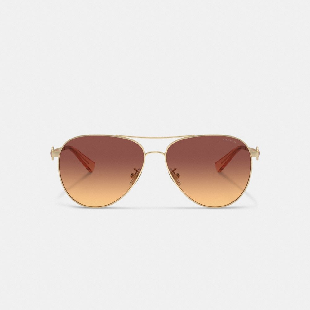 Dark Brown Women Coach Metal Aviator Sunglasses | NZ_CH20543