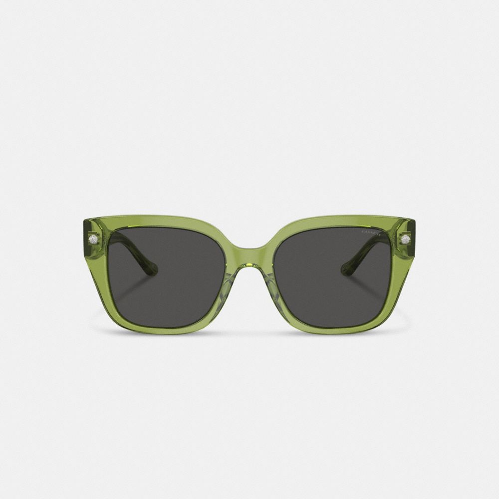 Green Women Coach Charms Oversized Square Sunglasses | NZ_CH66068