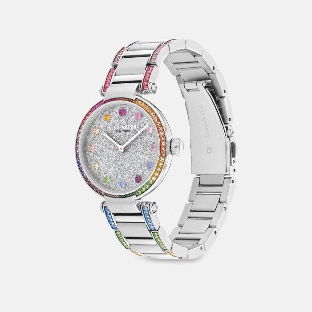 Grey Women Coach Cary 34 Mm Stainless Steel Watches | NZ_CH61693