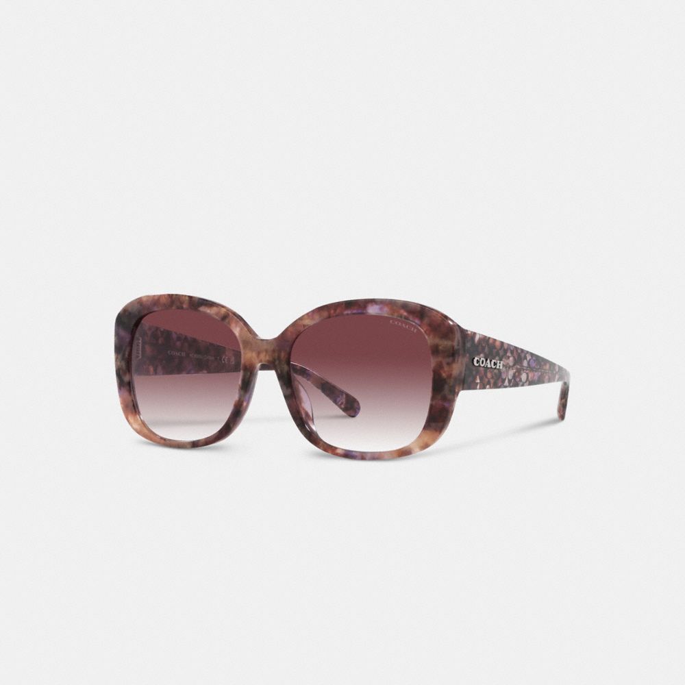 Purple Women Coach Signature Oversized Square Sunglasses | NZ_CH59306